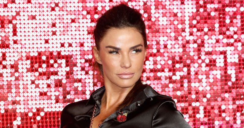 Katie Price admits to being a member of the mile high club but then she avoids the plane's toilets for her flings