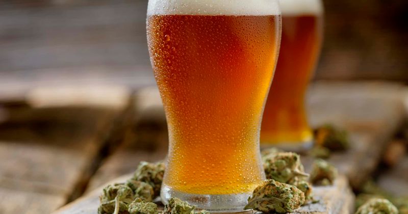 Wait, What? World's first 'Cannabis Beer' is brewed by a Canadian startup