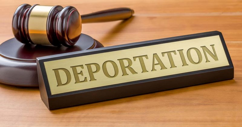 Swedish student's heartfelt and valiant attempt to prevent Afghan man's deportation goes viral
