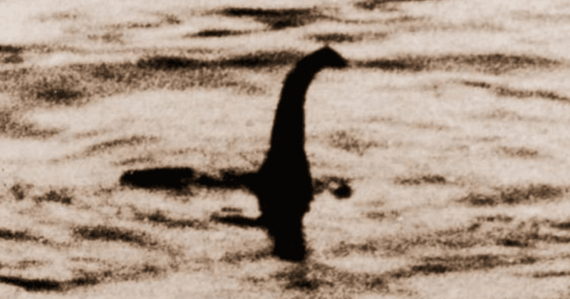 What will happen if the Loch Ness monster is found? Worry not, a Scottish agency has just the plan to help Nessie
