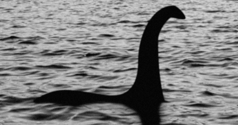 What will happen if the Loch Ness monster is found? Worry not, a Scottish agency has just the plan to help Nessie