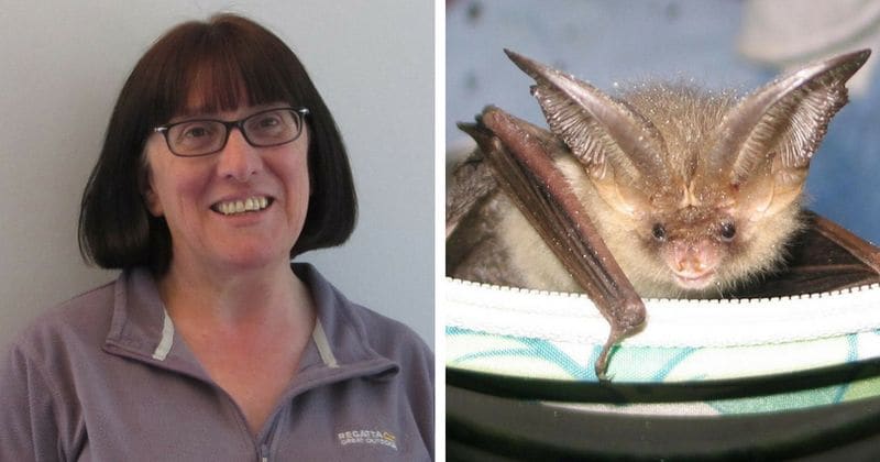 'Bat lady' tells pet owners it's unfair to let cats outdoors as they kill wildlife