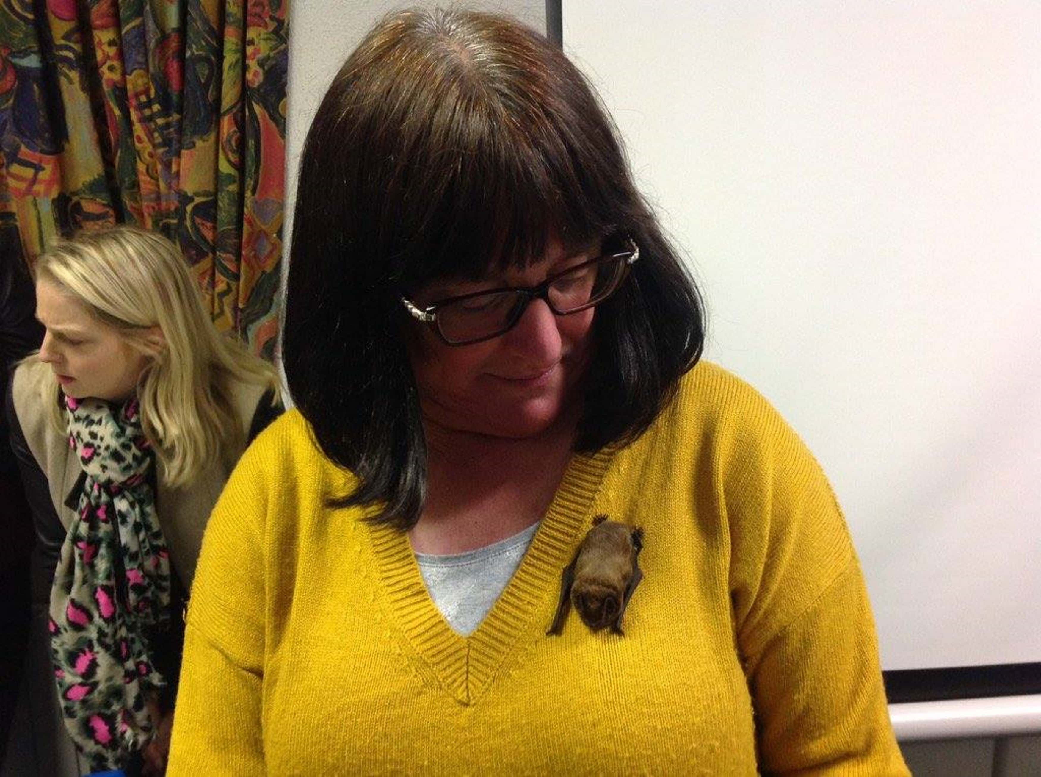 Many rallied behind Gail and called for cat owners to be responsible for their pets' actions if they choose to let them out (Image: Kennedy News and Media)