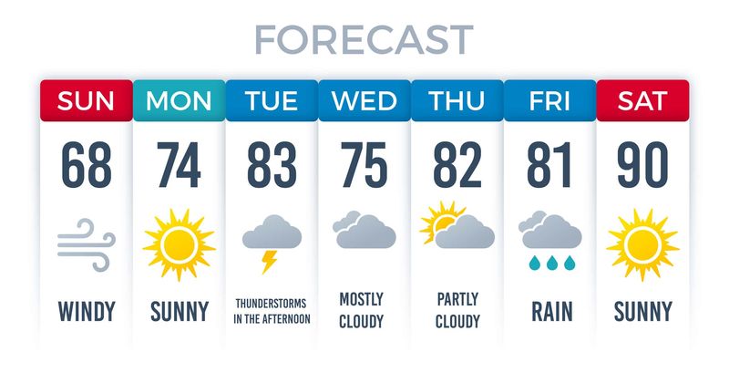 Wannabe weather girl amasses huge following for her daily 30-second forecast videos