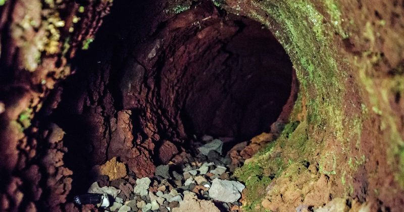 Russian villagers alarmed to find 105-foot-wide sinkhole near their homes overnight