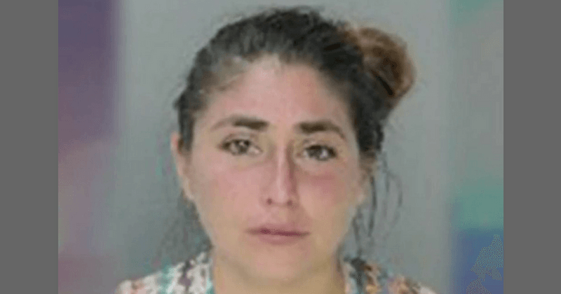 Off-duty cop kicks pregnant woman in the stomach, charged with felony assault
