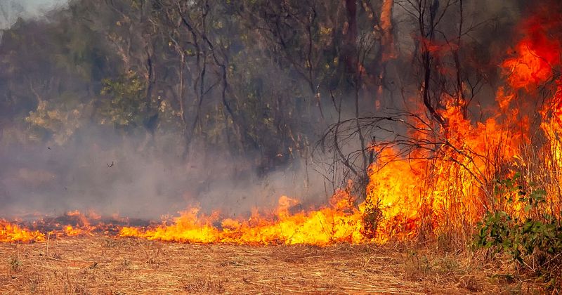 Man charged with 15 counts of arson for intentionally starting fires across southern California, angering tourists