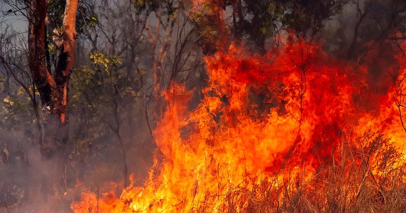 Terrifying clip shows petrified people huddling together in sea to escape deadly Greek wildfires