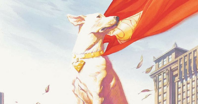 After superheroes, DC and Warner Bros bring in the animal kingdom with a 'Super Pets' movie reportedly in the works