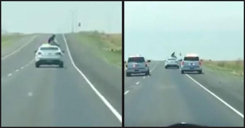 Texas deputy fired after inmate climbs out of window and rides on top of patrol car