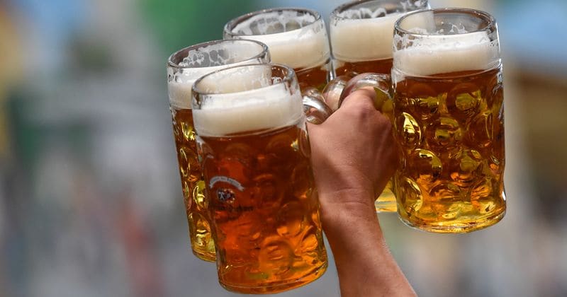 Bring the keg, it's official! Beer is actually GOOD for your health, says new study