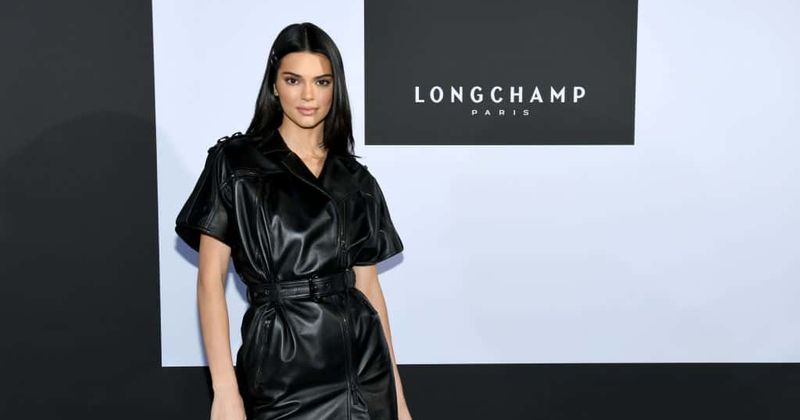 "Cute but she’ll rip your face off": Kendall Jenner flees restaurant after pet Doberman bit little girl