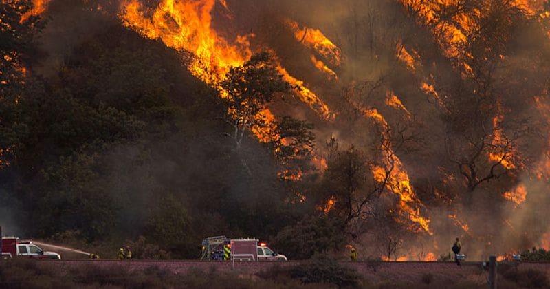 "We have enough water": California fire agency responds to Trump's 'bad environmental laws' tweet