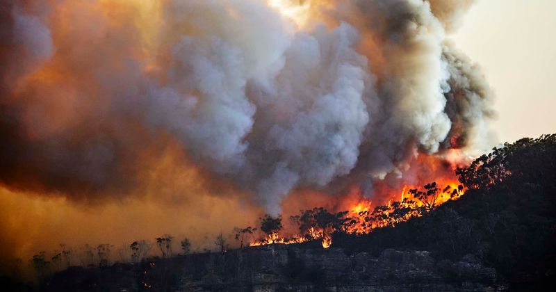 "We have enough water": California fire agency responds to Trump's 'bad environmental laws' tweet