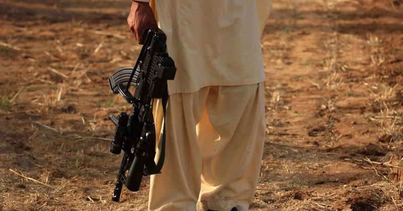 Journalist reveals how 15 months of sexual assault by terrorists brought her to brink of suicide, only to be saved by a little bird