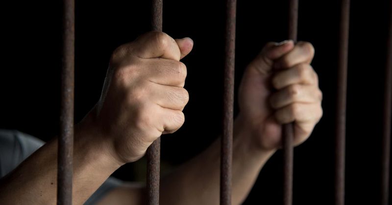 Man faces jail for downloading images of people performing sex acts on snakes and other animals