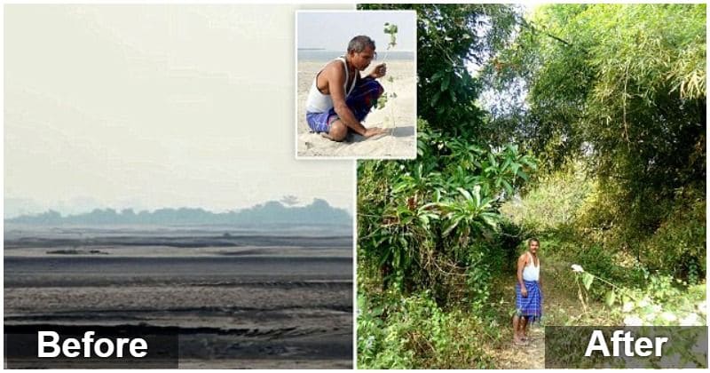 Every day, for 40 years, this man planted a tree on a desolate island, now he lives in Eden