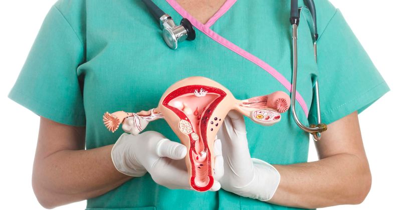 Mother of transgender son donates her uterus so that in future trans women may have the option of childbirth