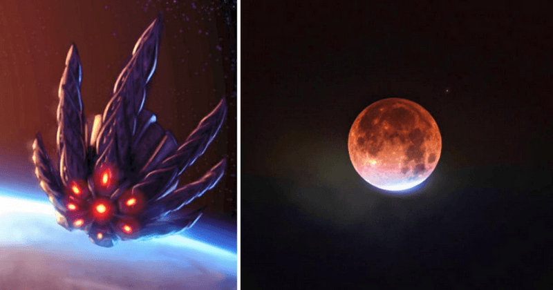 Alien hunters claim that UFOs are 'showing themselves' to help humanity 'reach a higher consciousness'
