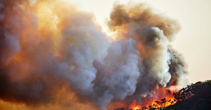 Portugal Fire : Thick smoke clouds southern Portugal beaches as fires rage