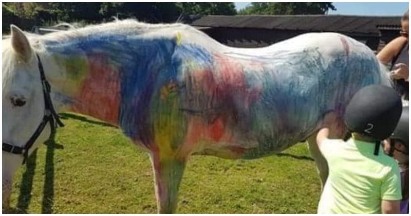 Pony painting parties spark outrage, campaign launched to ban the 'cruel, disturbing' trend