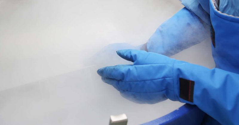Ultra-rich are paying to freeze themselves into 'cryo-sleep' in hope of new life in future