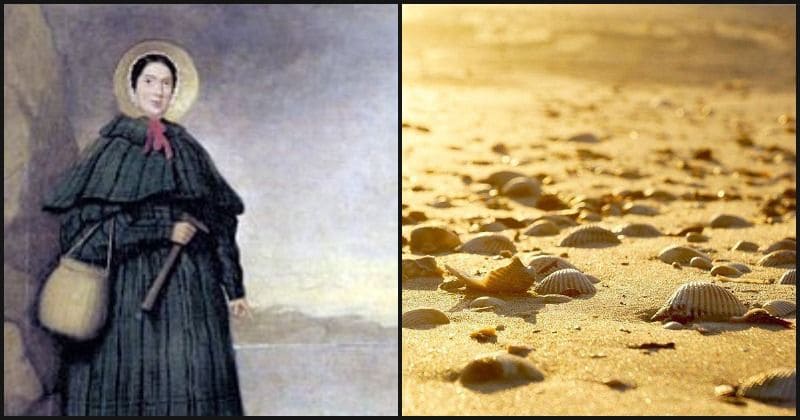 The real story of the "she" from the old tongue twister, 'She Sells Seashells'