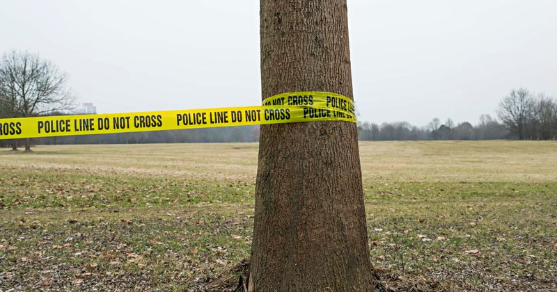 Identical twin brothers 'who spent their entire lives together' found hanging in park