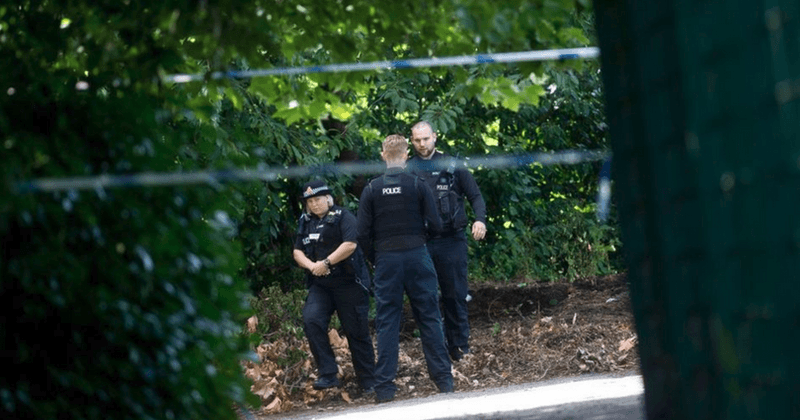Identical twin brothers 'who spent their entire lives together' found hanging in park