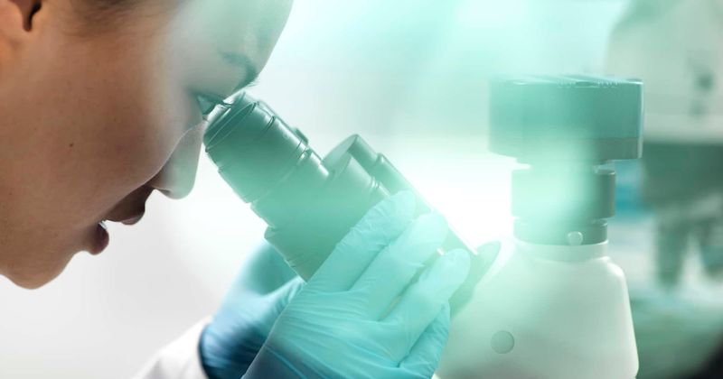 FOREVER YOUNG: Scientists successfully reverse aging in lab-grown human cells, is immortality around the corner?