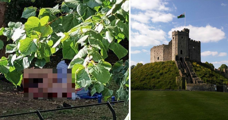 ORGY IN THE PARK: Four rompers caught on camera getting it on, even as unsuspecting children play nearby