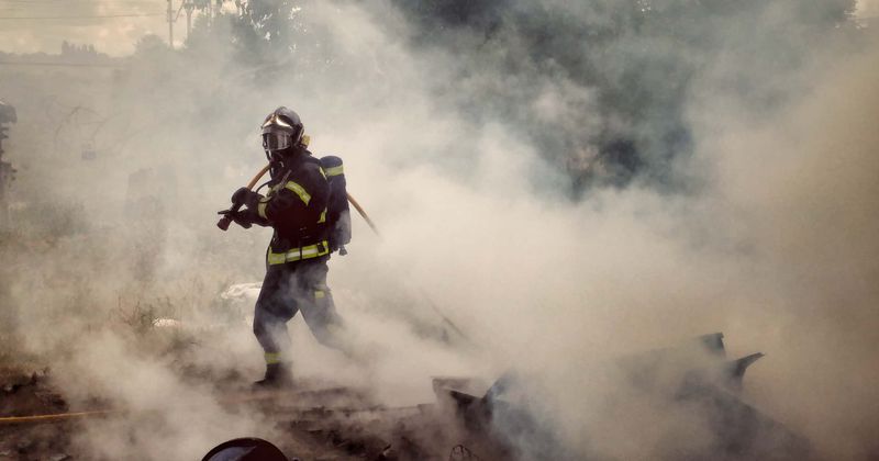 Watch: Officers risk their lives to save 60 animals from shelter as raging wildfire closes in