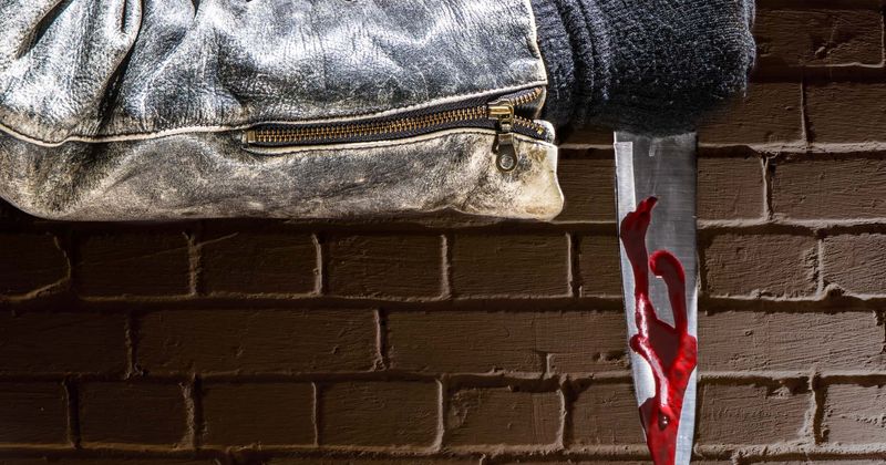 Expect a surge in serial killers in the next 15 years: Author Peter Vronsky delivers chilling warning
