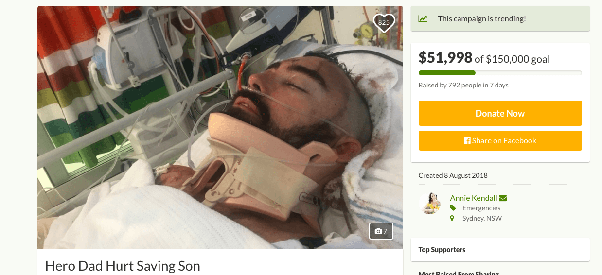 A screenshot of the GoFundMe page set up by Kendall to assist the family financially. (GoFundMe)