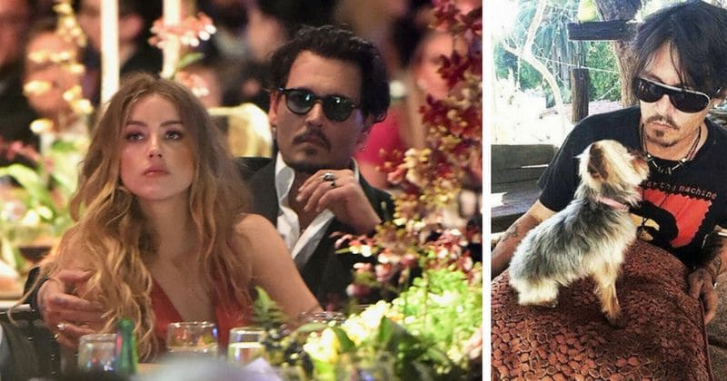 Johnny Depp says Amber Heard pooped in their bed after a heated argument, but she blames the dog