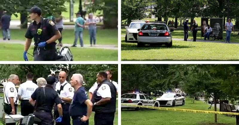 71 people hospitalized after overdosing on deadly synthetic marijuana in a city park