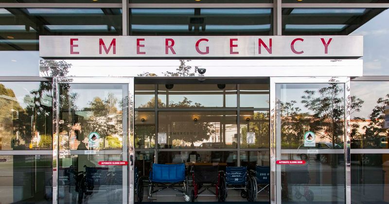 71 people hospitalized after overdosing on deadly synthetic marijuana in a city park