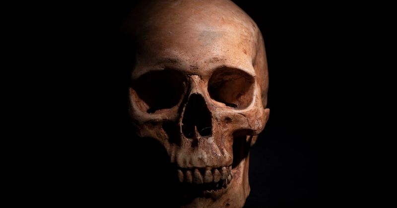 Woman whose skull was carried by a homeless person on a stick finally identified after two years