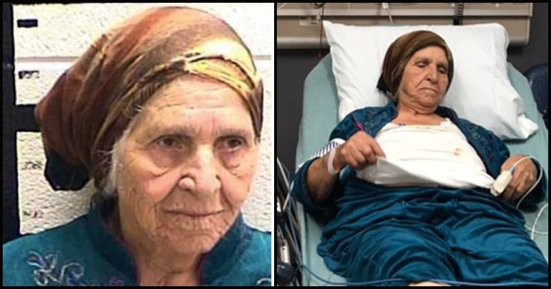 Police chief justifies tasing 87-year-old Syrian woman, who was holding a kitchen knife to cut dandelions