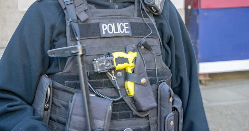 Police chief justifies tasing 87-year-old Syrian woman, who was holding a kitchen knife to cut dandelions