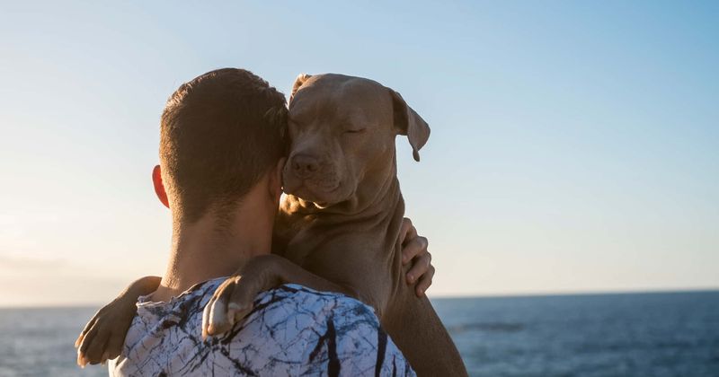 Quadriplegic boy reunites with dog that helped him 10 years ago