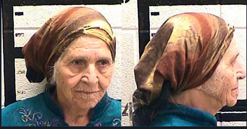 Georgia police chief defends use of taser on 87-year-old grandmother cutting flowers