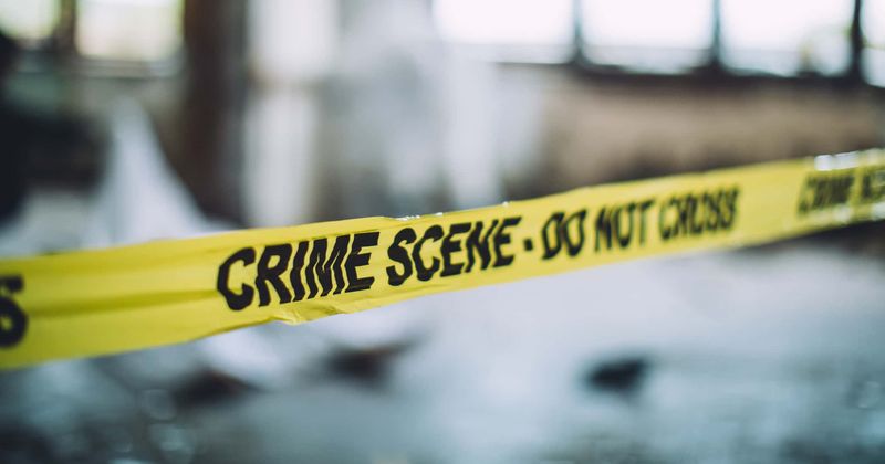 'It was horrific': Mother and daughter left fighting for their lives after suspect smashes them with hammer in vicious unprovoked attack