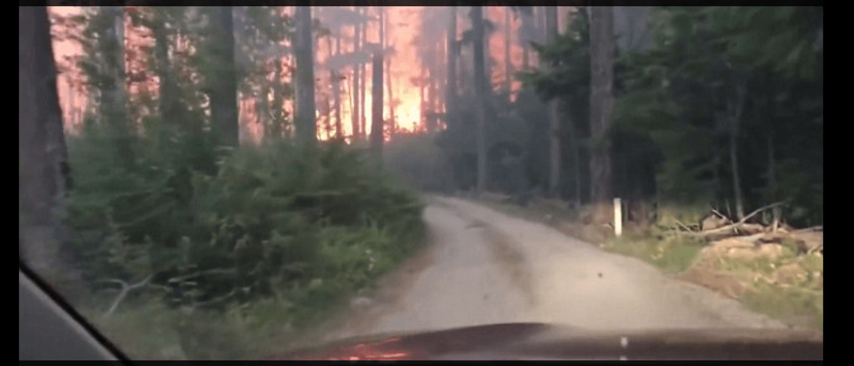 A screengrab of the video shows the father-son duo driving through the fire. (Twitter)