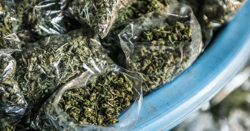 15-year-old girl busted for 'dealing marijuana out of her bedroom' while her mother supervised the whole operation