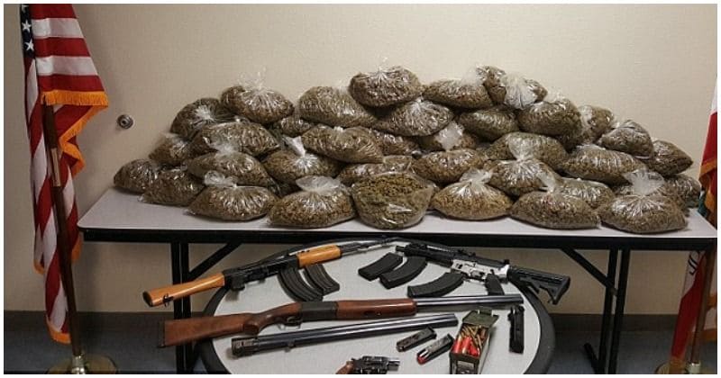 15-year-old girl busted for 'dealing marijuana out of her bedroom' while her mother supervised the whole operation