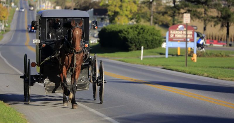 Twin sister of 6-year-old boy tragically killed by pellet gun bravely sits on horse-drawn carriage carrying his coffin