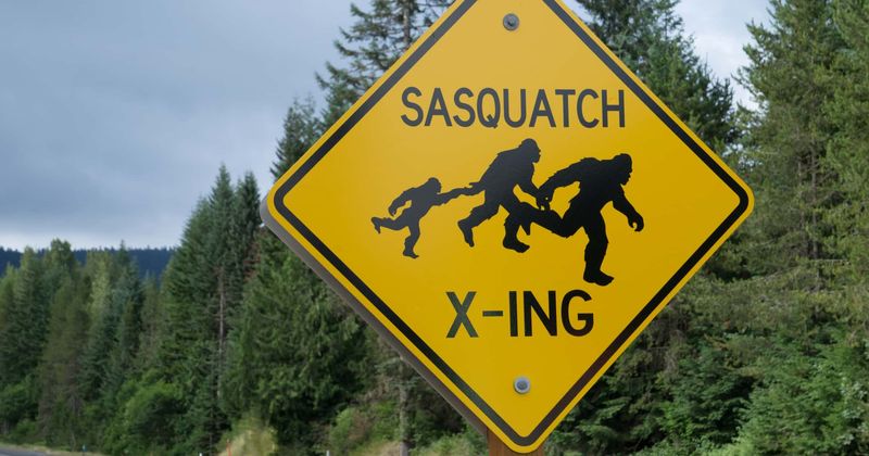 North Carolina town declares Bigfoot as its official animal