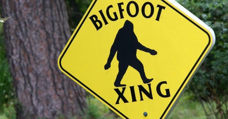 North Carolina town declares Bigfoot as its official animal