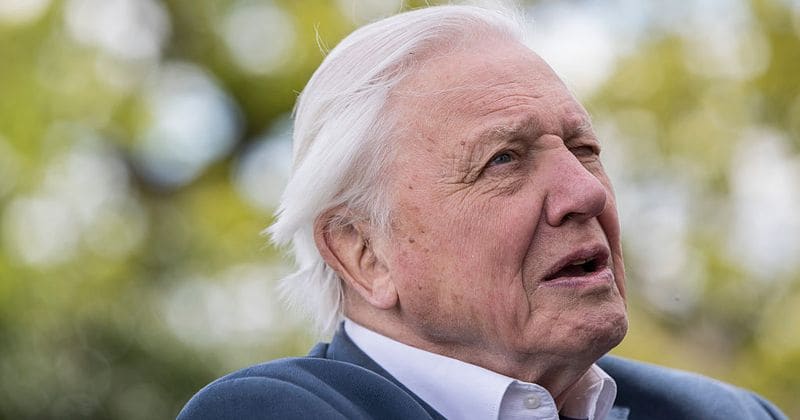 Sir David Attenborough to return with new documentary 'Dynasties' this coming Autumn